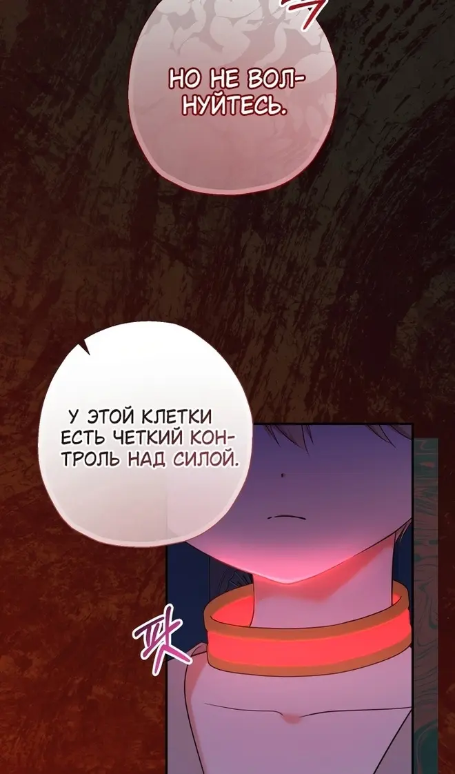 Страница 63