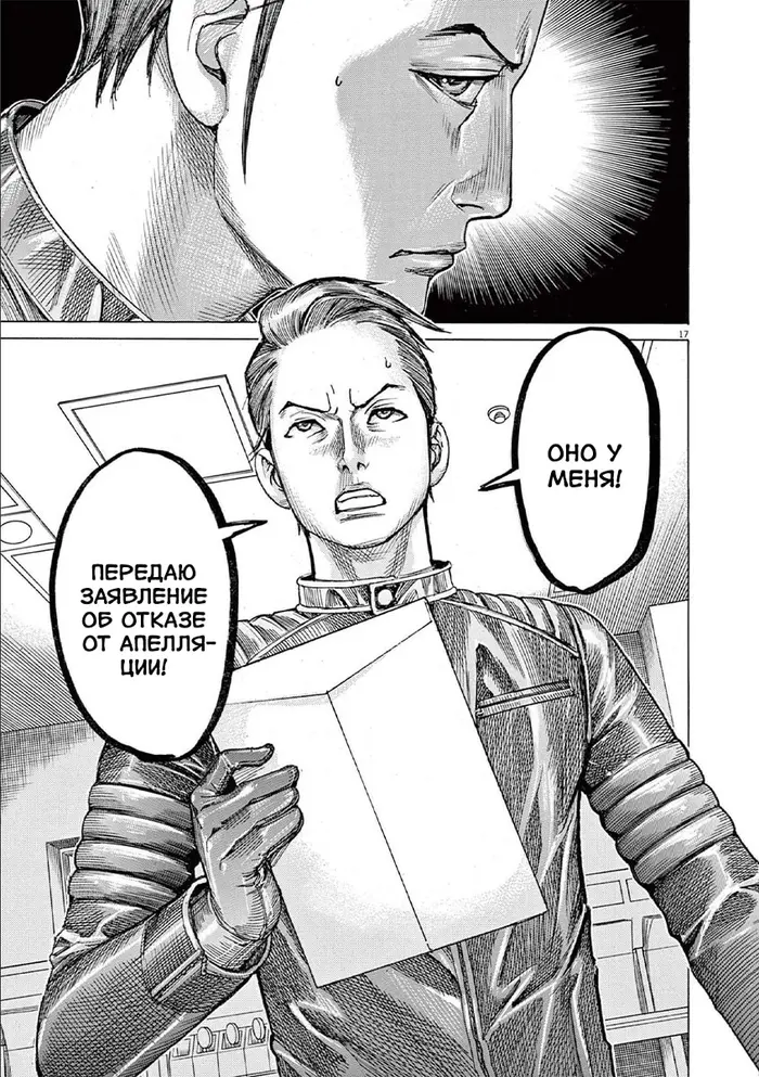 Страница 17