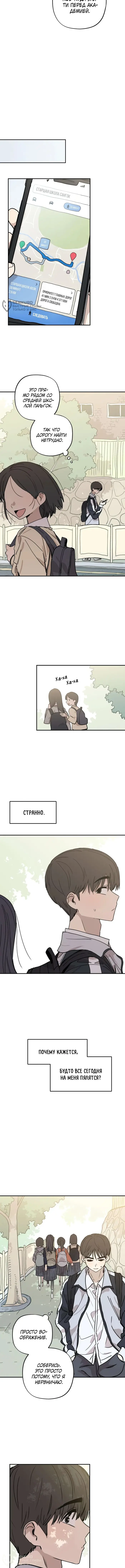 Страница 8