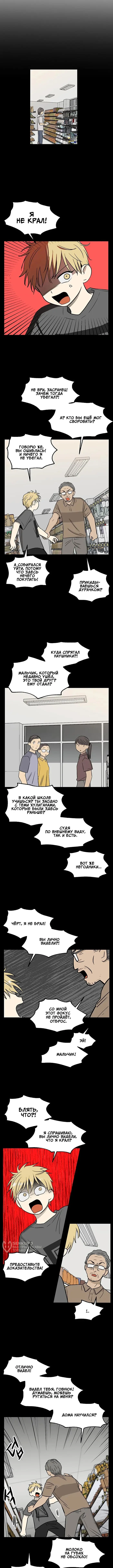 Страница 5