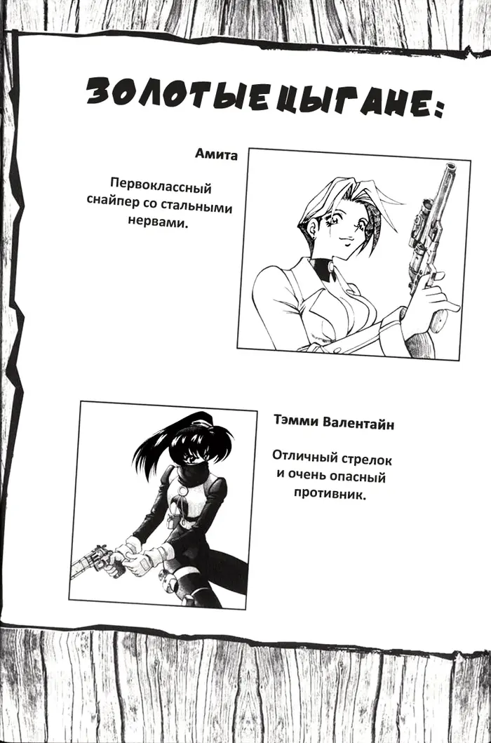 Страница 12