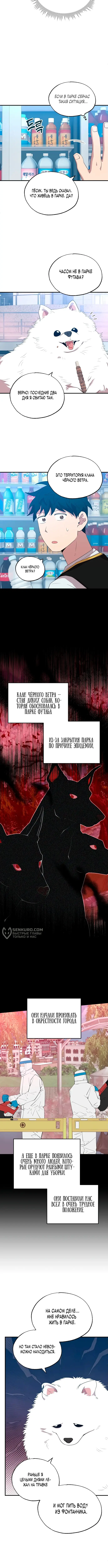 Страница 6