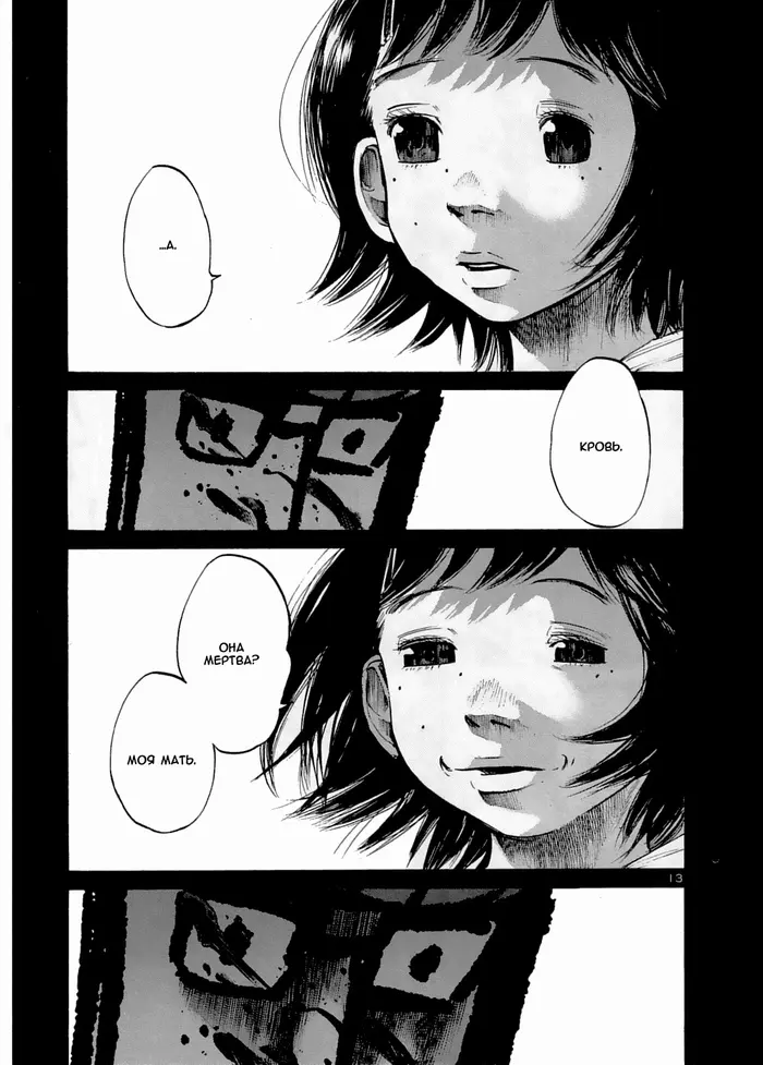 Страница 13