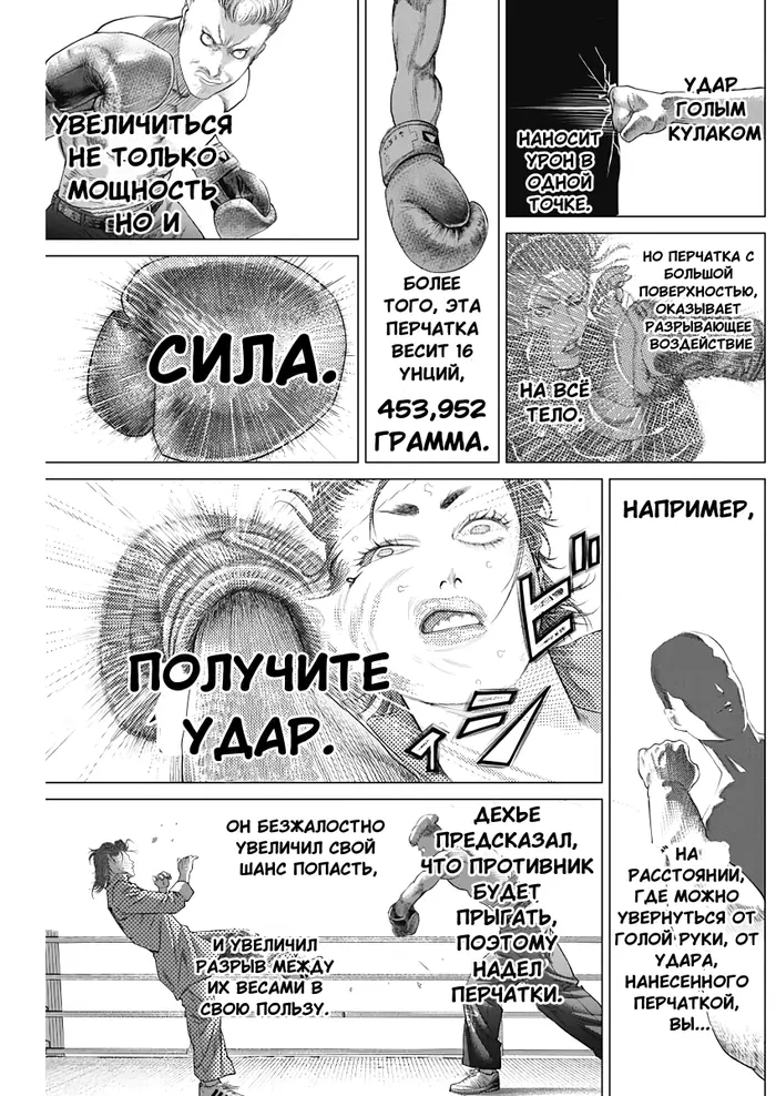 Страница 13