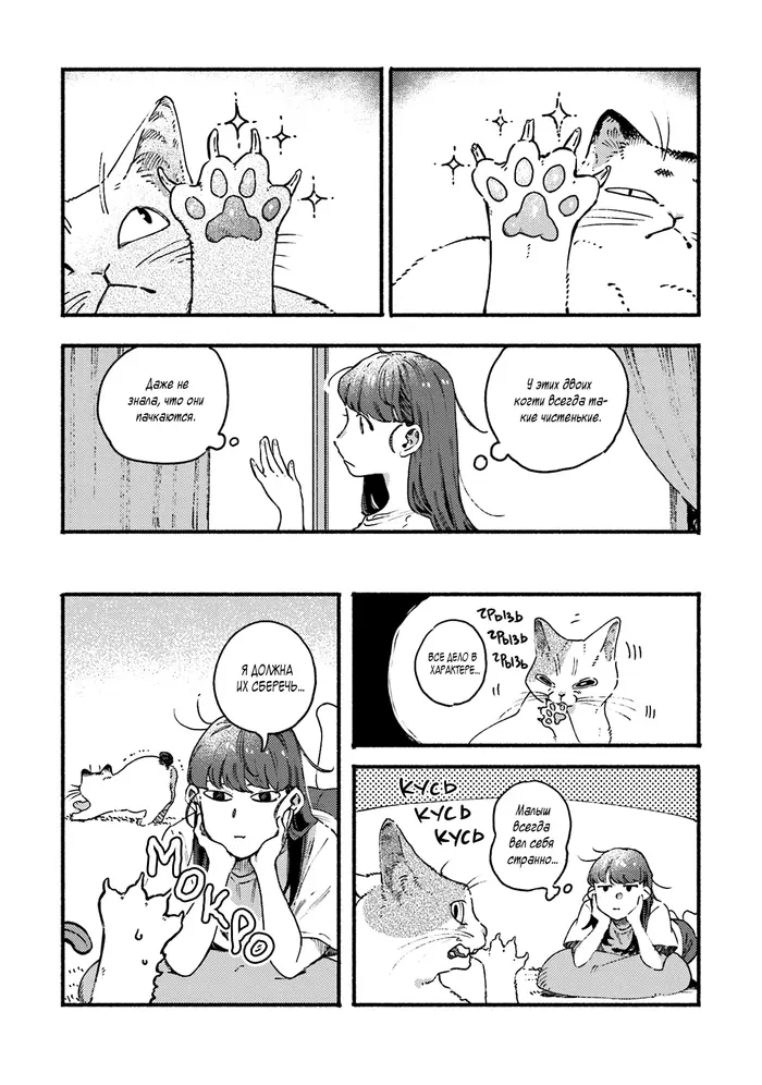 Страница 5