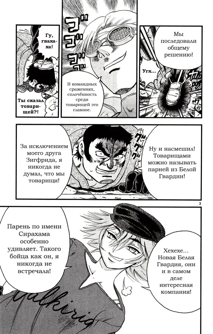 Страница 3