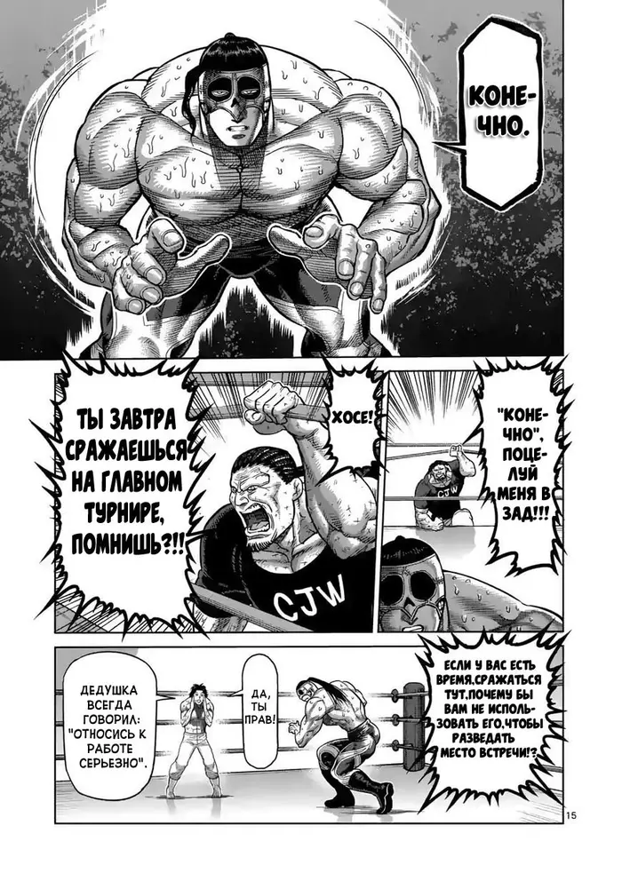 Страница 15