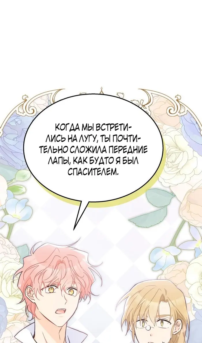 Страница 71