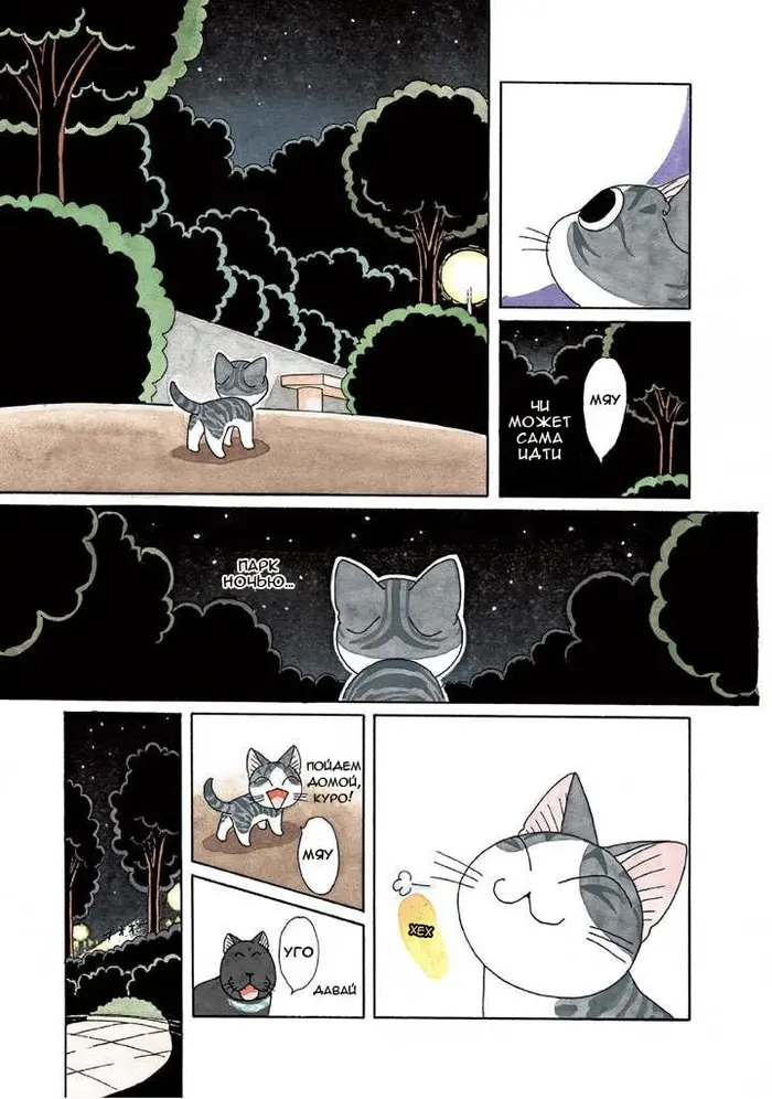 Страница 5