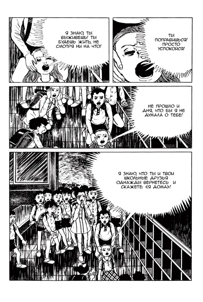Страница 55