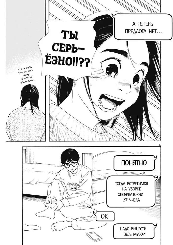 Страница 13