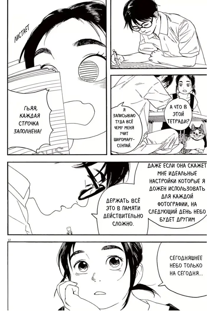 Страница 12