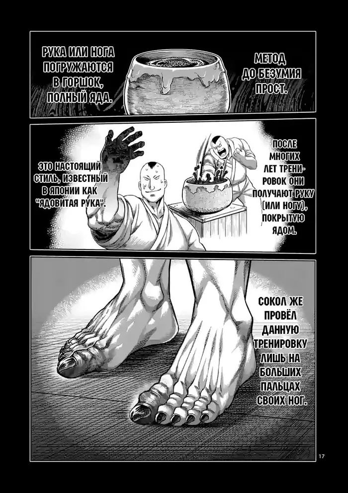 Страница 17