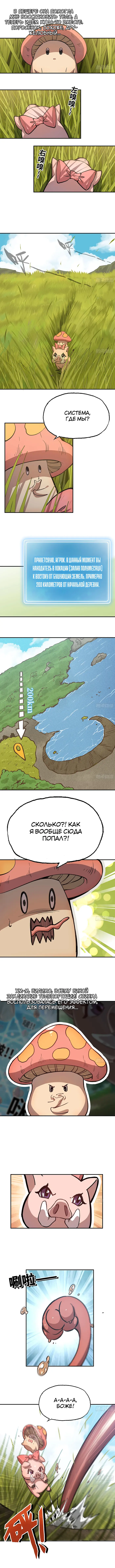 Страница 1
