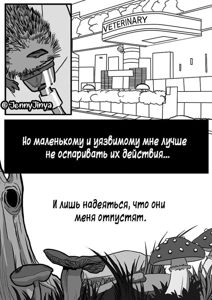 Страница 7