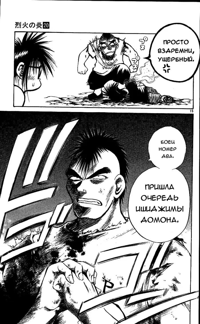 Страница 15