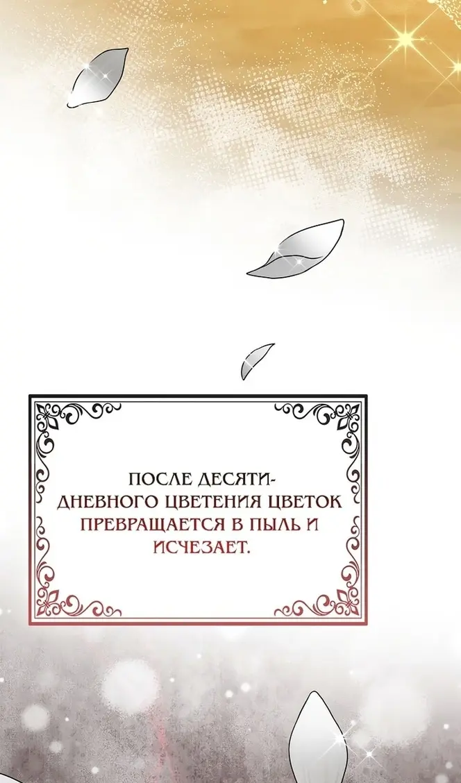 Страница 91