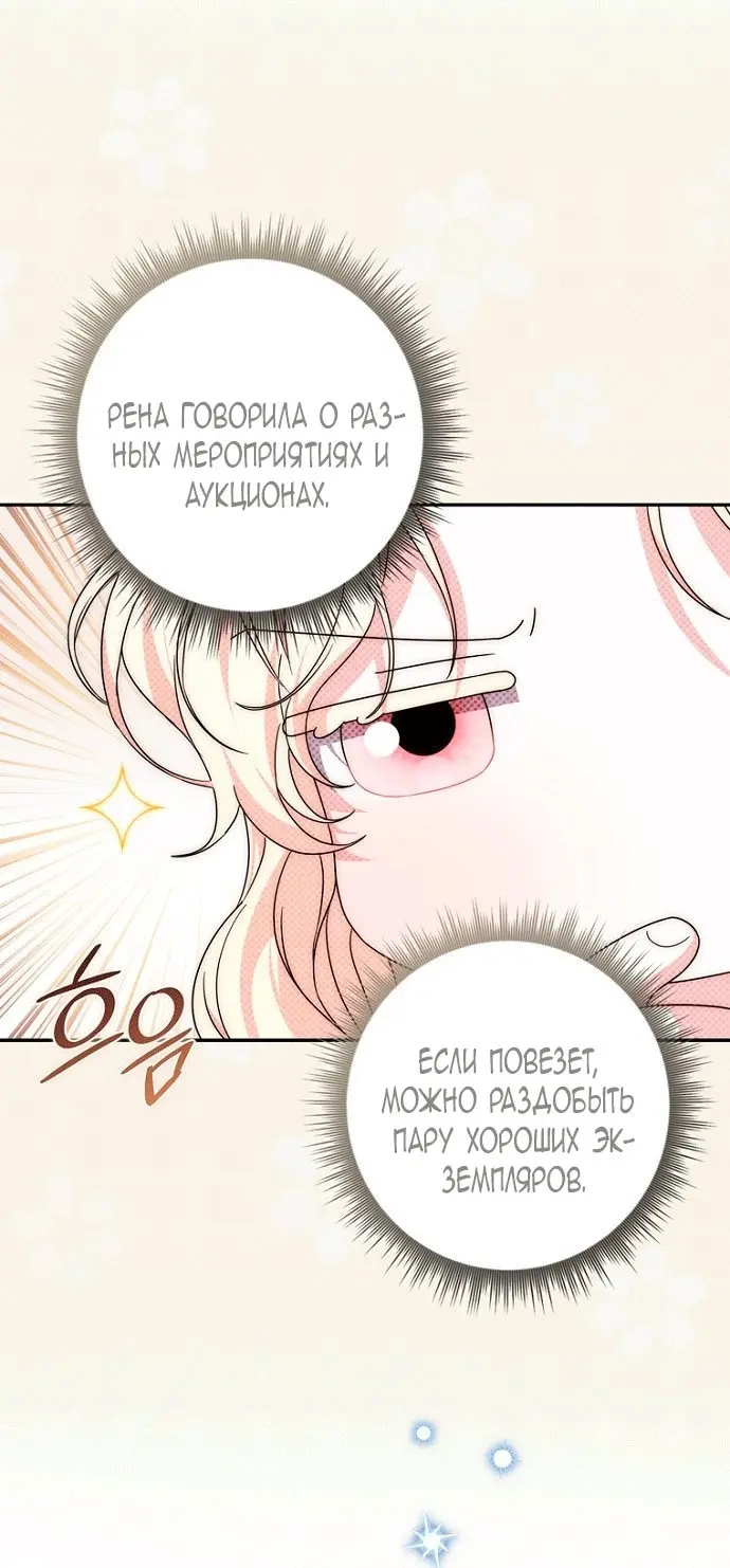 Страница 55