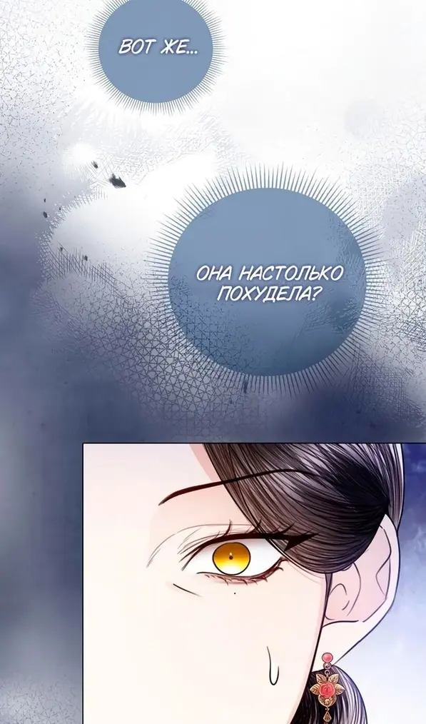Страница 102