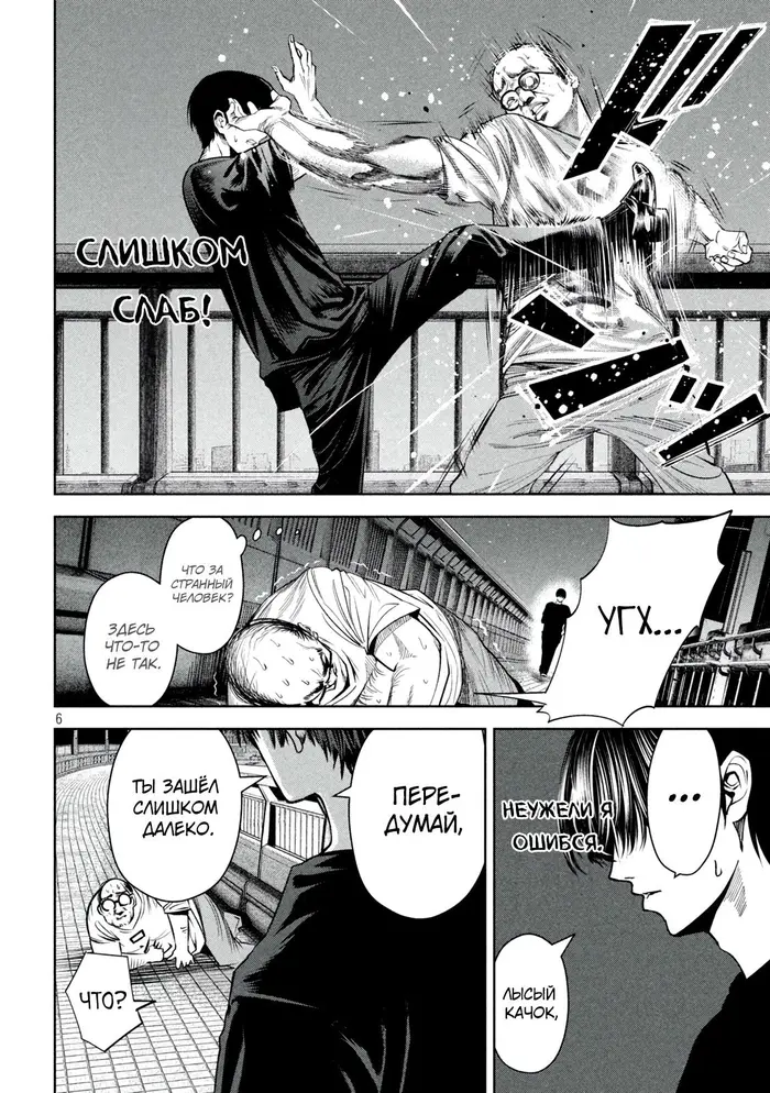 Страница 6