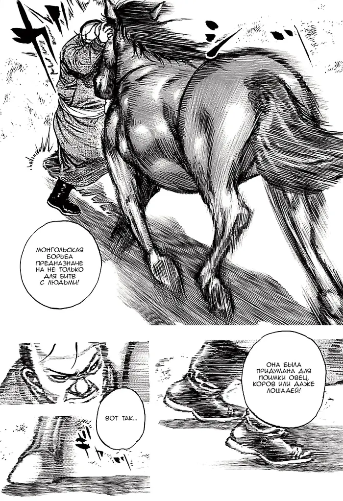 Страница 5
