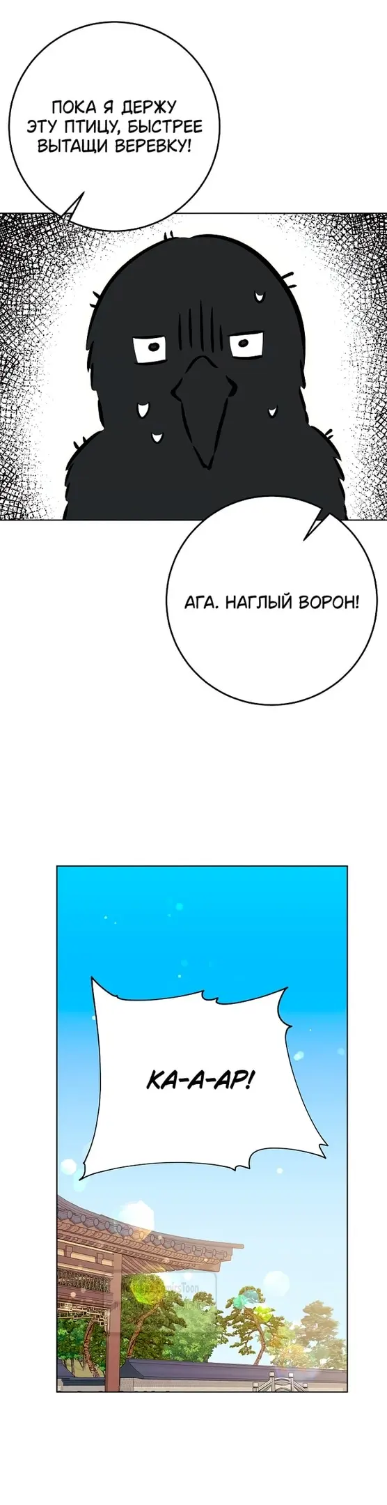 Страница 47
