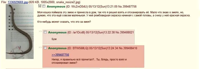 Страница 34