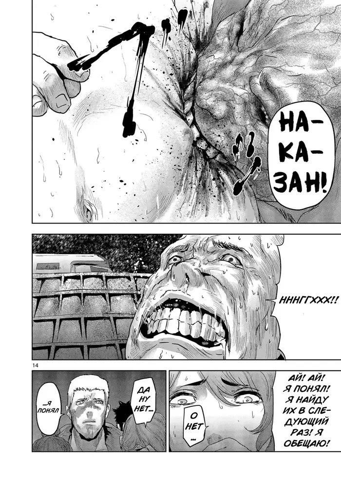 Страница 14