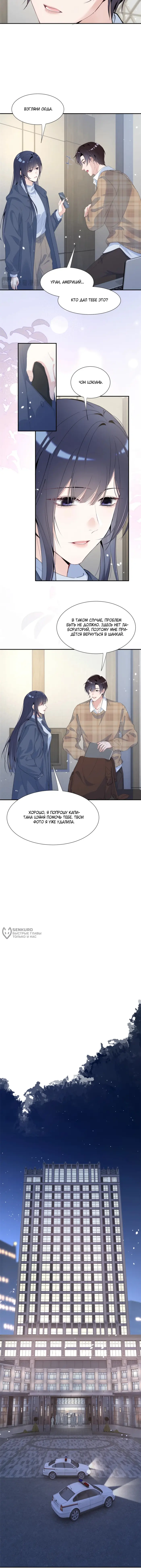 Страница 6