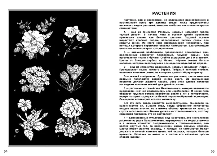 Страница 28