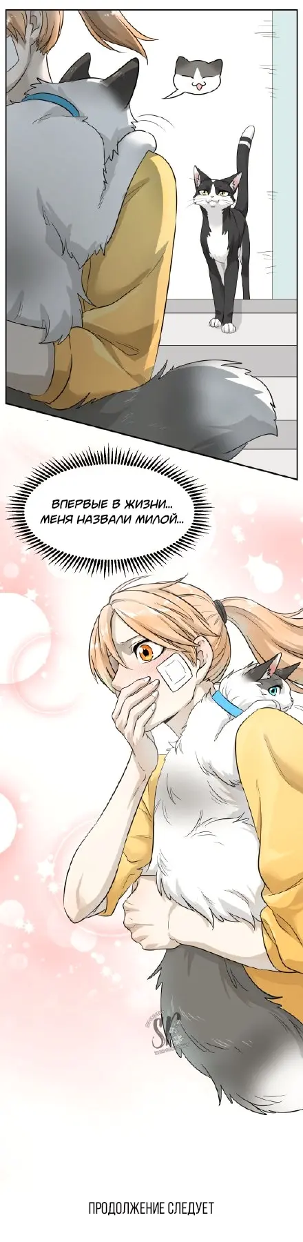 Страница 8