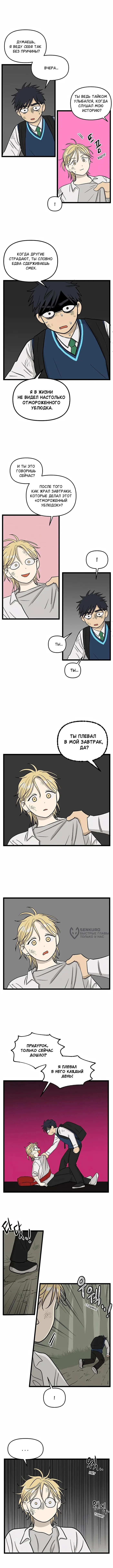 Страница 6