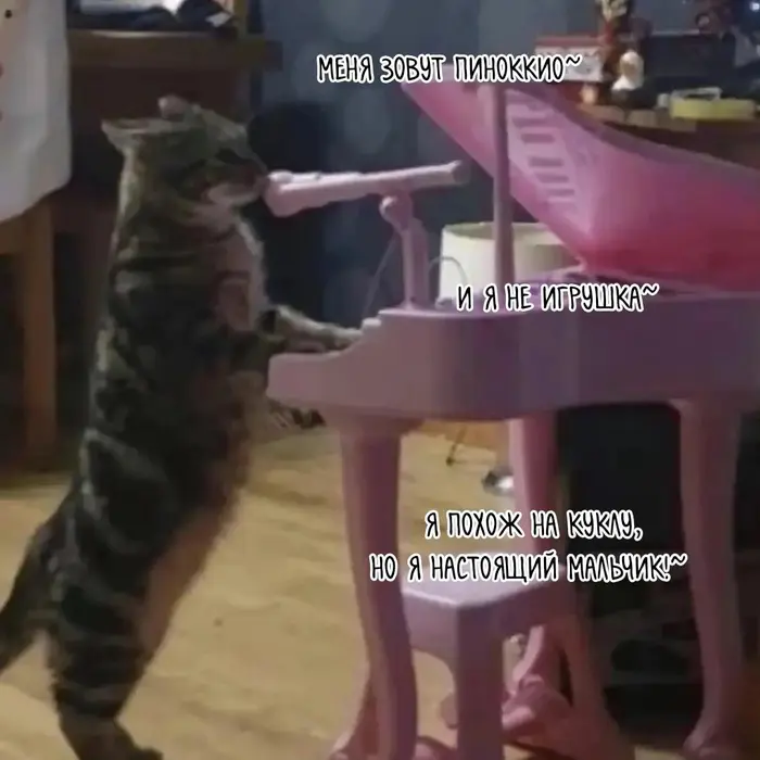 Страница 9