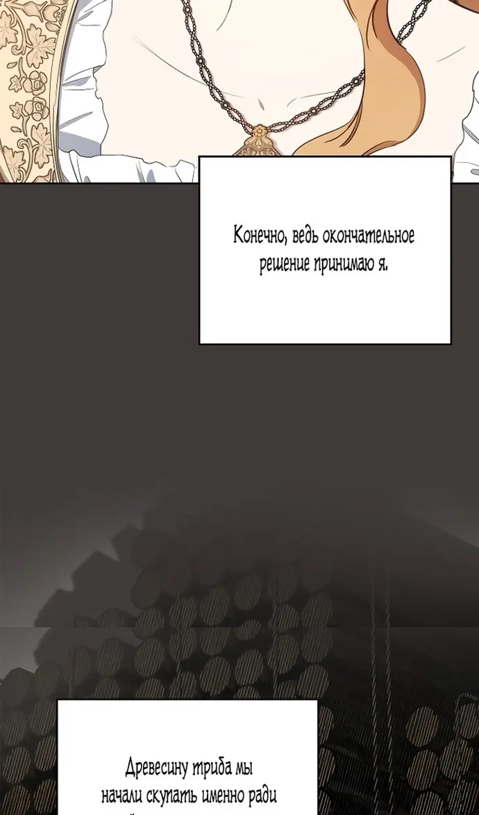 Страница 111