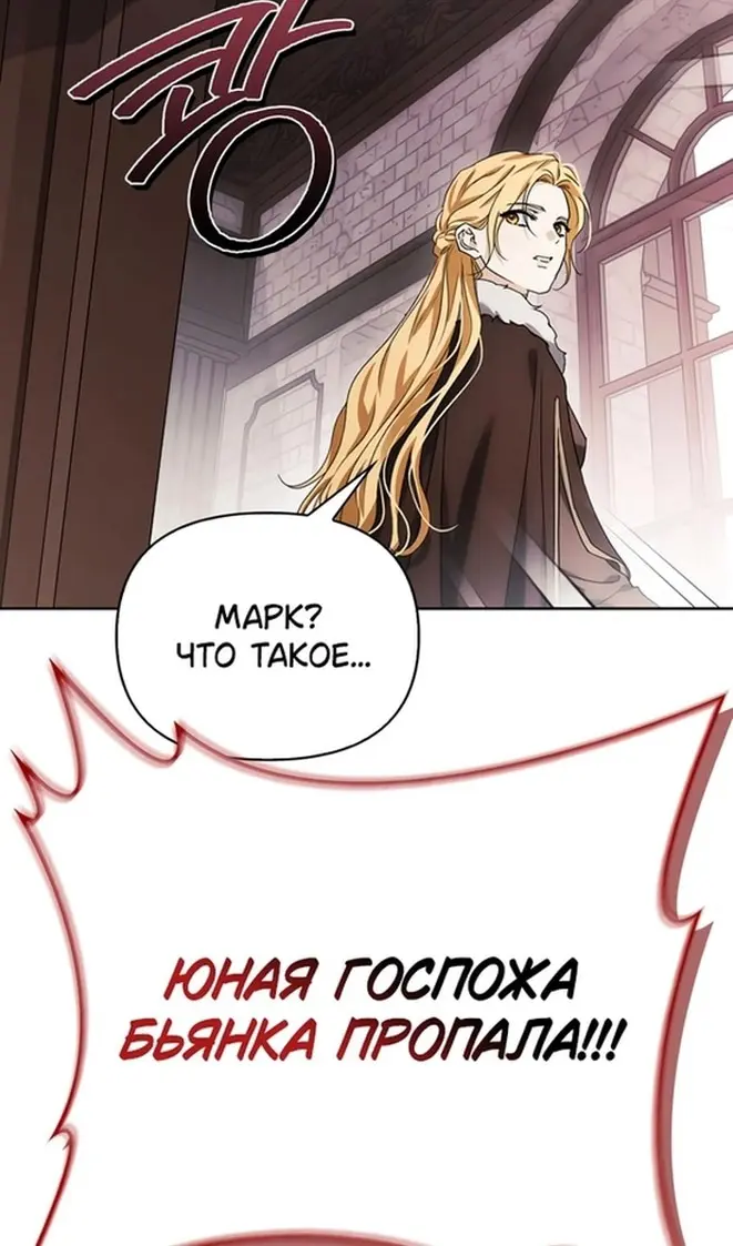 Страница 111