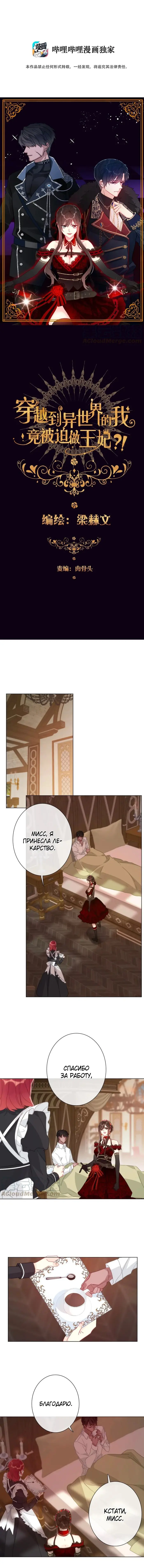 Страница 2