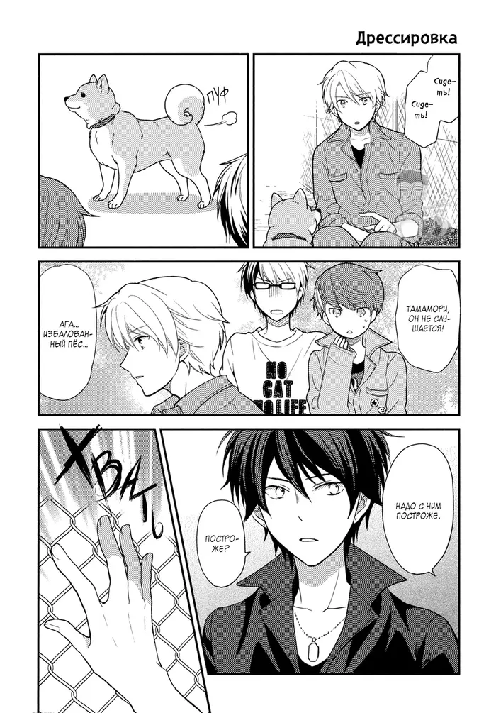 Страница 4