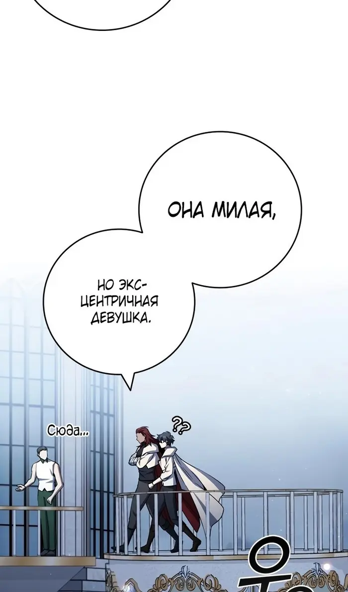 Страница 111