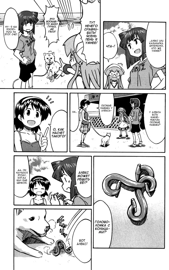 Страница 5