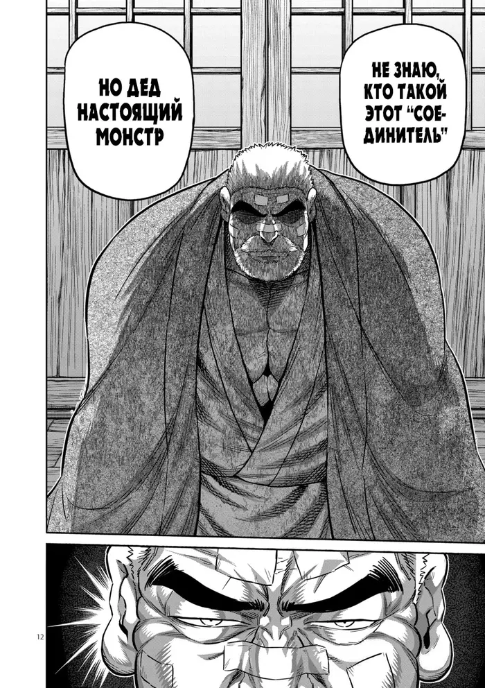 Страница 12