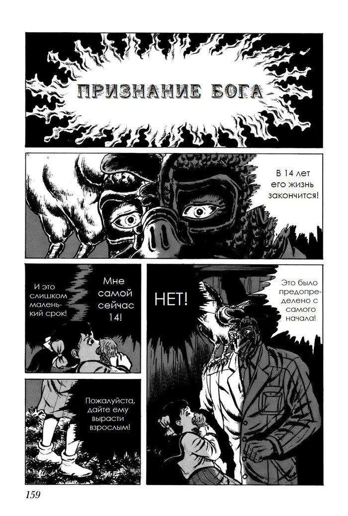 Страница 13