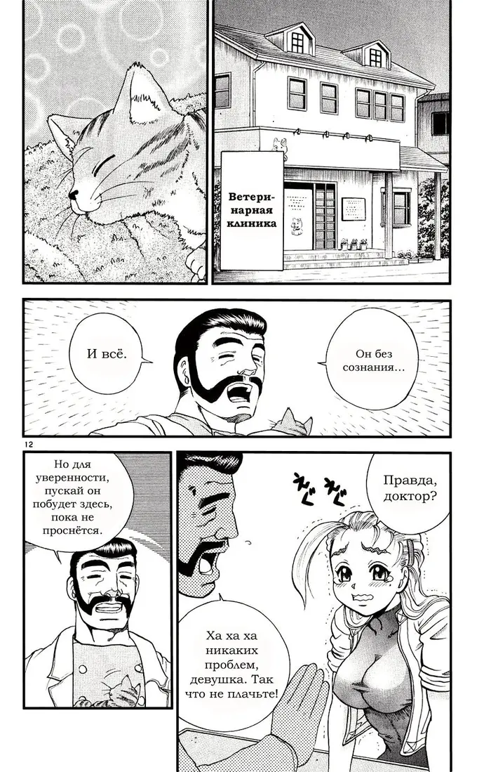 Страница 12