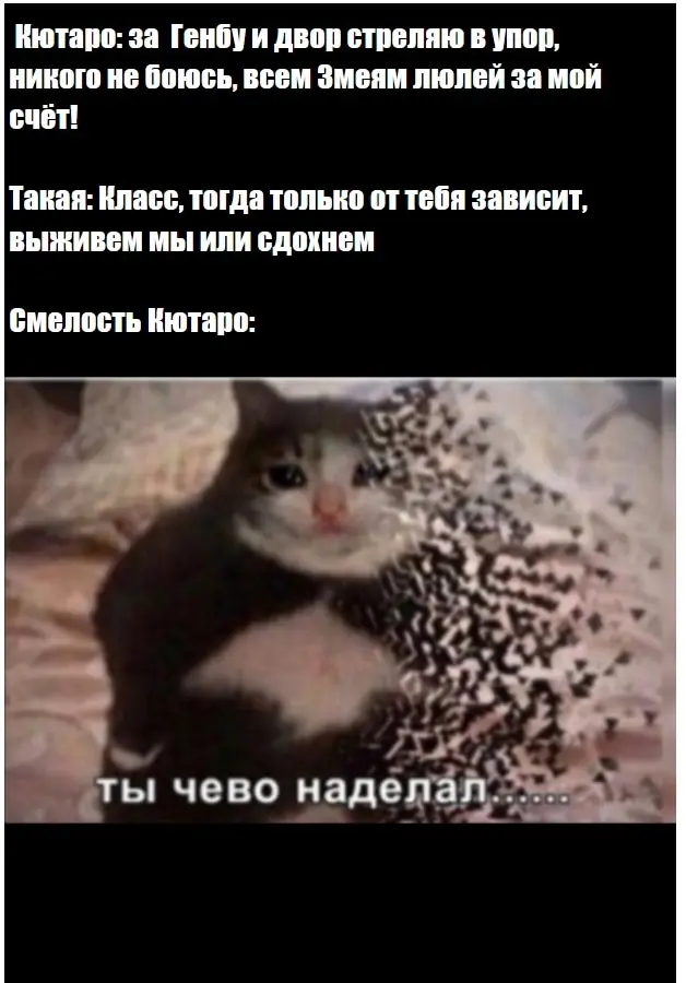 Страница 41