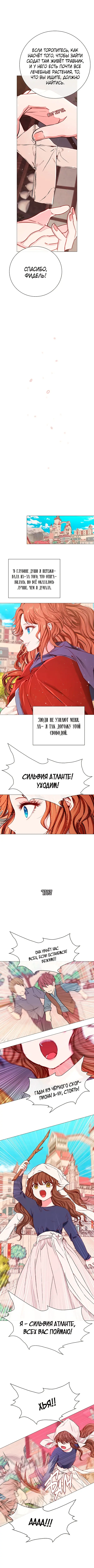 Страница 8