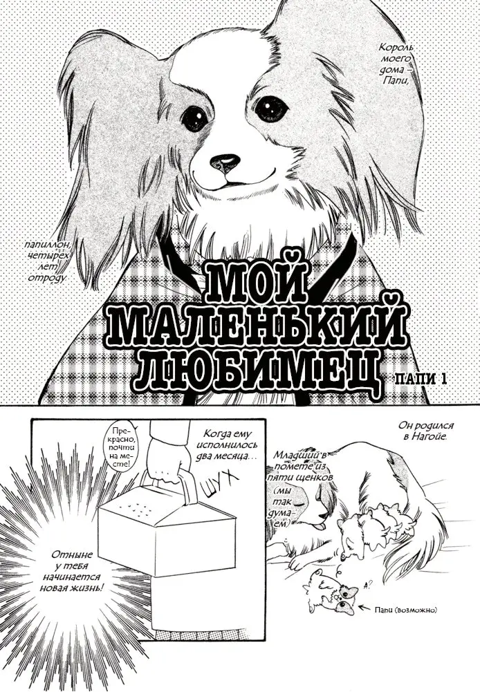 Страница 4
