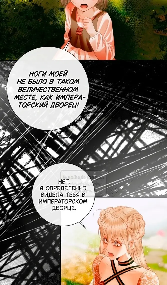 Страница 62