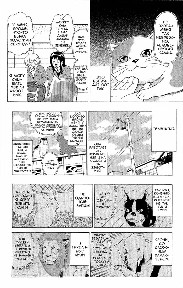 Страница 4