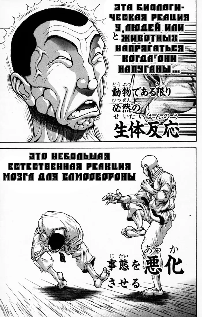 Страница 23