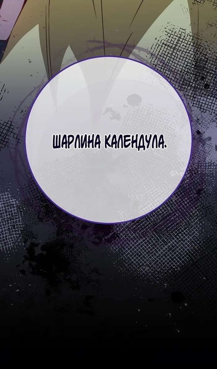 Страница 118