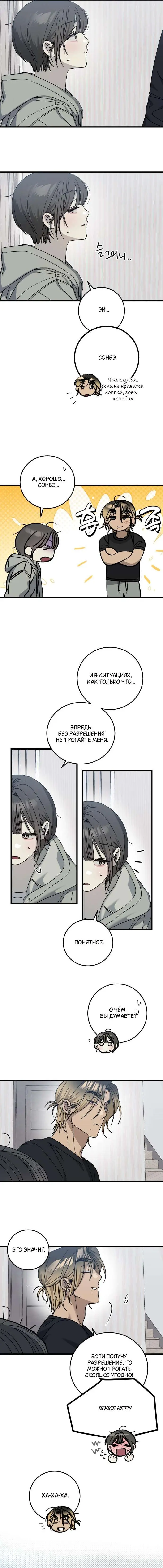 Страница 6